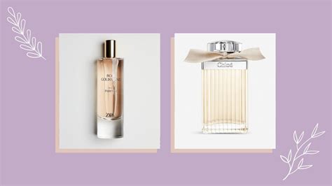 perfume dupe chloe|zara rose gourmand dupe for.